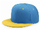  Custom Made Your Hat with Brand Company or Team Logo Promotion Sports Cap