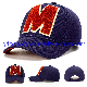 Custom Logo Embroidery Curved Brim Baseball Sports Caps for Children manufacturer