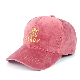  Autumn and Winter Velvet Embroidered Logo Warm Velvet Baseball Cap