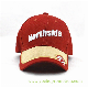  Competitive Cotton Twill Promotional Baseball Cap with 3D Embroidery Logo