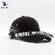 Wholesale Custom Promotional Fashion Baseball Hat/Cap manufacturer
