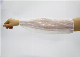  Disposable PE Oversleeve Arm Sleeve Cover for Food Processing & Household Cleaning Use