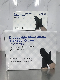  Disposable Latex Free Powder-Free Exam Black Synthetic Nitrile Glove Size S M L XL
