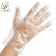  100% Biodegradable and Compostable Plastic Disposable Gloves Pbat PLA Cornstarch En13432