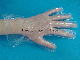  Polythene Disposable HDPE Gloves for Women in Home