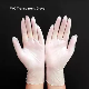  Disposable Powder Free PVC Gloves Transparent
