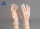 Disposable Vinyl PVC Powder Free Examination Safety Gloves Manufacturers Exam Glove
