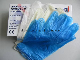  Powder-Free PVC Vinyl Gloves (ISO, CE Certified)
