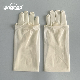 Medical Sterile Powdered Latex Gynecological Glove CE/ISO