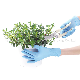  General Medical Supplies Disposable Powder Free Synthetic Nitrile Gloves Medical Non-Medical Examination Nitrile Gloves