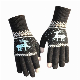 Ready Ship Touch Screen Men and Women Warm Knitted Winter Acrylic Gloves
