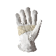 Industrial Safety Gloves Manufacturer Produce Palm Reinforced Leather Work Gloves manufacturer