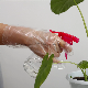 New Household Kitchen Transparent Oilproof Plastic Disposable Gloves manufacturer