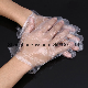 Disposable Gloves One-off PE Gloves manufacturer