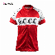 Custom Sublimation Cycling Jersey Racing Shirts F1 Polo manufacturer