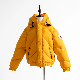OEM Customerized Windproof of Kids Winter Puff Down Jacket Fixed Hood Fashion and Warm manufacturer