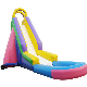 Huge Colourful Inflatable Water Slider for Children manufacturer