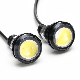 12V 23mm White Rock Light LED
