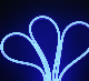 High Brightness 2 Years Warranty Advertising Signboard LED Strip Tube Neon Light for Christmas Decoration manufacturer