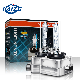 Haizg Wholesale Car LED Headlights 6000K Motorcycle HID Xenon Light manufacturer