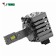 G-View G15D Most Popular Items HID Xenon Replacement LED Bulb Light manufacturer