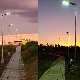 Economic Split Solar Street Light 8m Pole 60watt LED Power