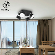Surface Mounted LED Ceiling Lamp Metal Ceiling Spotlight manufacturer