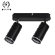 Aluminum GU10 Spotlight of Stripe and Acrylic Ring Ceiling Light Fixture manufacturer