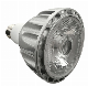 PAR Lamp PAR30 Flicker Free 32W 4000K 24D Non Dimmable LED Light