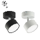 LED Ceiling Spotlight Fixture White Gx53 LED Indoor Spotlight manufacturer
