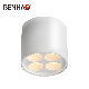 11W Surface Mounted Cylinder Ceiling LED Spots Lights with Osram SMD Chips