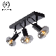 LED Glass Spotlight with Track Spot Light Housing and E14 Ceiling Light manufacturer