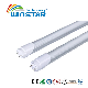 Evg Kvg Ballast 100lm-160lm T8 LED Tube Light manufacturer