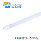 300 Degree 100lm-160lm Nano T8 LED Tube Light with Ce RoHS Approved manufacturer