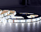 IP65 Epoxy Waterproof 12V/24V2835-60 LED Light Strip manufacturer