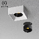 LED Embedded Surface Mounted Spotlights COB Downlight manufacturer