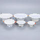 Recessed Ceiling Light LED Downlight Spotlight Indoor Lighting manufacturer