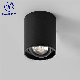 Aluminum Surface Mounted Downlight 5W 10W Bridgelux COB Downlight Decorate Corridor Porch Clothing Store manufacturer