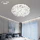 Ocean Lighting LED Lamp Chandelier and Lamp Ceiling Light manufacturer