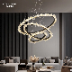 Minimalist Simple Long Ceiling LED Pendant Indoor Light Modern manufacturer