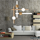 Wholesale Tube Ball Dining Lamp Pendant Lights Chandelier
