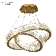 Ocean Lighting Indoor Home Decorative Modern Pendant Lamp manufacturer