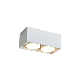 Warm White/White/Cool White Indoor 4 Heads LED Ceiling Light manufacturer