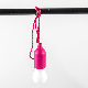 Yichen AAA Battery Operated LED Pendant Light with String Switch manufacturer