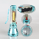 Yichen Solar Rechargeable COB and LED Flashlight Torch with UV Printing Shining Effect Body manufacturer