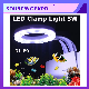 LED Grow Light 5W for Water Plants in Aquarium manufacturer