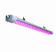 Red+Blue, Full Sepctrum Hydroponic Vertical Farming LED Plant Grow Light Vegetable Light manufacturer