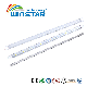 SMD2835 600mm 2FT T8 Indoor Light LED Tube 8W LED Tube Lighting manufacturer