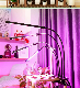 Indoor Garden Vertical Farming Hydro LED Grow Strips Bar Lights manufacturer
