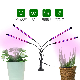 Top Selling Indoor Plant Veg Flower Growing Light manufacturer